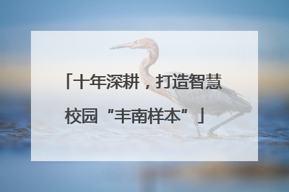 十年深耕，打造智慧校园“丰南样本”