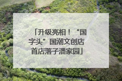 升级亮相！“国字头”国潮文创店首店落子潘家园