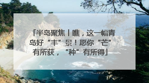 半岛聚焦丨瞧，这一幅青岛好“丰”景！愿你“芒”有所获，“种”有所得