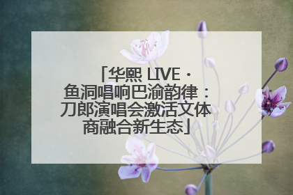 华熙 LIVE・鱼洞唱响巴渝韵律：刀郎演唱会激活文体商融合新生态