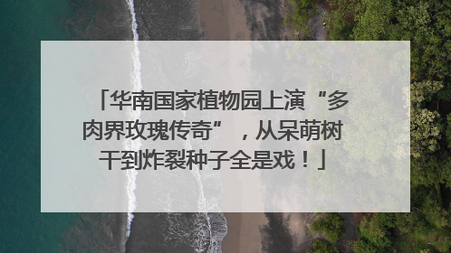 华南国家植物园上演“多肉界玫瑰传奇”，从呆萌树干到炸裂种子全是戏！