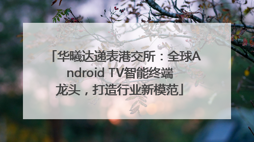 华曦达递表港交所：全球Android TV智能终端龙头，打造行业新模范