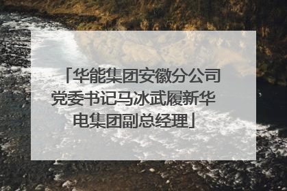 华能集团安徽分公司党委书记马冰武履新华电集团副总经理