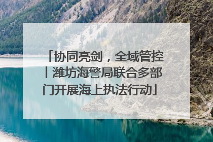 协同亮剑，全域管控丨潍坊海警局联合多部门开展海上执法行动