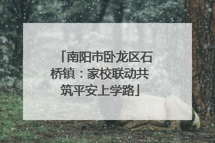 南阳市卧龙区石桥镇：家校联动共筑平安上学路