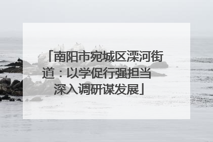 南阳市宛城区溧河街道：以学促行强担当 深入调研谋发展