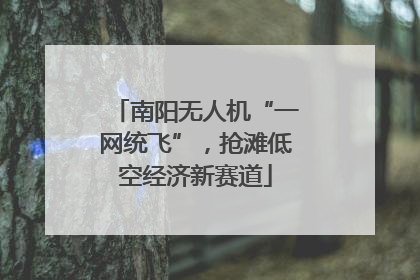 南阳无人机“一网统飞”，抢滩低空经济新赛道