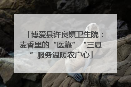 博爱县许良镇卫生院：麦香里的“医靠”“三夏”服务温暖农户心