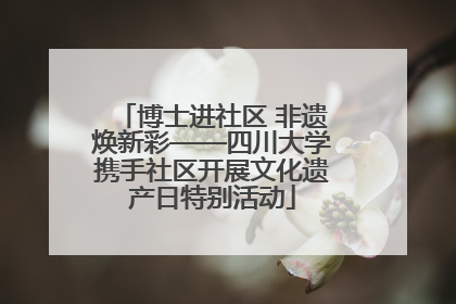 博士进社区 非遗焕新彩——四川大学携手社区开展文化遗产日特别活动