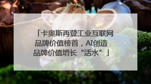 卡奥斯再登工业互联网品牌价值榜首，AI创造品牌价值增长“活水”