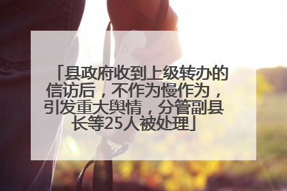 县政府收到上级转办的信访后，不作为慢作为，引发重大舆情，分管副县长等25人被处理