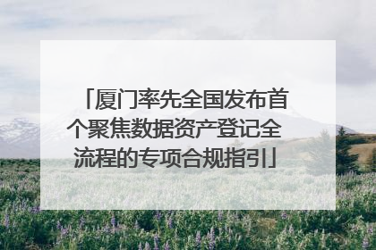 厦门率先全国发布首个聚焦数据资产登记全流程的专项合规指引