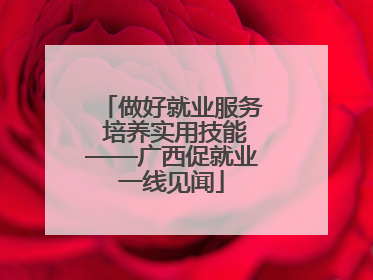 做好就业服务 培养实用技能——广西促就业一线见闻