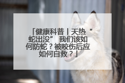 健康科普丨天热“蛇出没” 我们该如何防蛇？被咬伤后应如何自救？