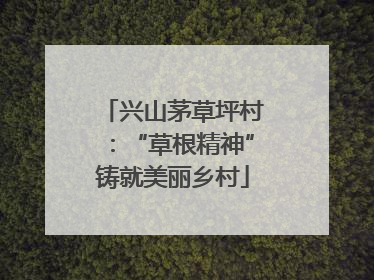 兴山茅草坪村：“草根精神”铸就美丽乡村