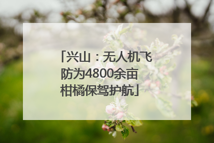 兴山：无人机飞防为4800余亩柑橘保驾护航