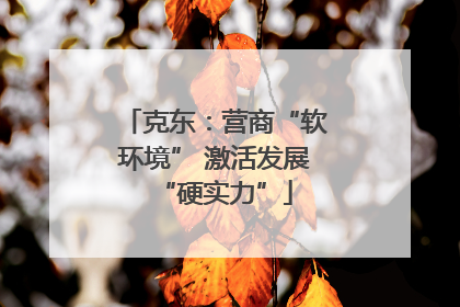 克东：营商“软环境” 激活发展“硬实力”