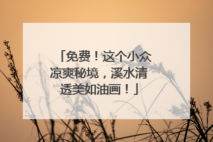 免费！这个小众凉爽秘境，溪水清透美如油画！