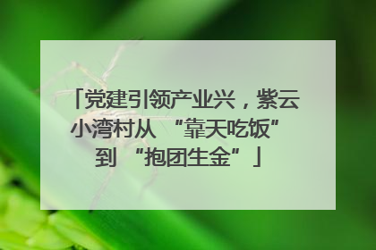 党建引领产业兴，紫云小湾村从 “靠天吃饭” 到 “抱团生金”
