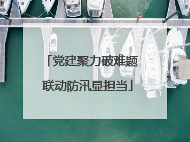 党建聚力破难题 联动防汛显担当