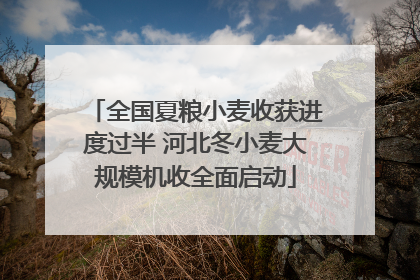 全国夏粮小麦收获进度过半 河北冬小麦大规模机收全面启动