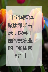 全国媒体聚焦潍柴雷沃，探寻中国智慧农业的“新质密码”