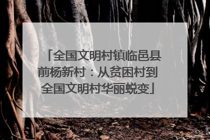 全国文明村镇临邑县前杨新村：从贫困村到全国文明村华丽蜕变