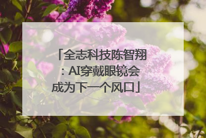 全志科技陈智翔：AI穿戴眼镜会成为下一个风口