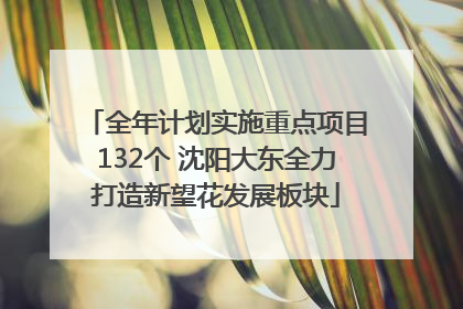 全年计划实施重点项目132个 沈阳大东全力打造新望花发展板块