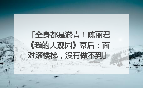 全身都是淤青！陈丽君《我的大观园》幕后：面对滚楼梯，没有做不到