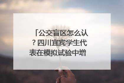 公交盲区怎么认？四川宜宾学生代表在模拟试验中增强乘车安全意识