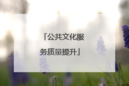 公共文化服务质量提升