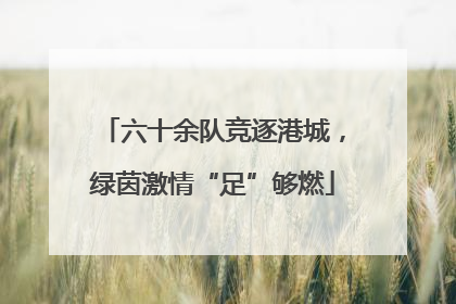 六十余队竞逐港城，绿茵激情“足”够燃