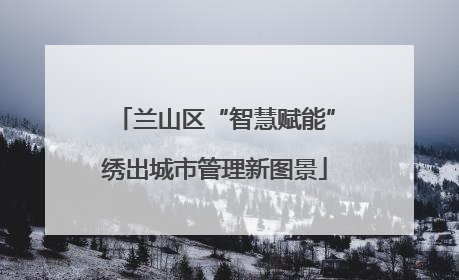 兰山区“智慧赋能”绣出城市管理新图景