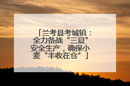 兰考县考城镇：全力备战“三夏”安全生产，确保小麦“丰收在仓”