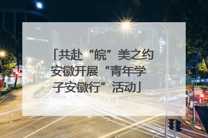 共赴“皖”美之约 安徽开展“青年学子安徽行”活动