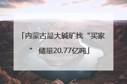 内蒙古最大碱矿找“买家” 储量20.77亿吨