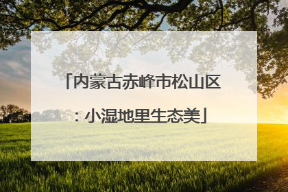 内蒙古赤峰市松山区：小湿地里生态美