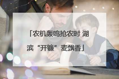 农机轰鸣抢农时 湖滨“开镰”麦飘香