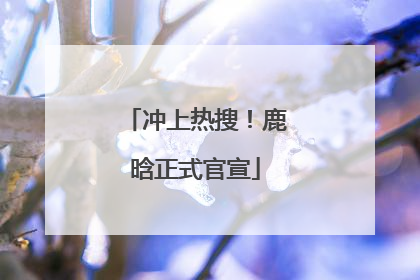 冲上热搜！鹿晗正式官宣