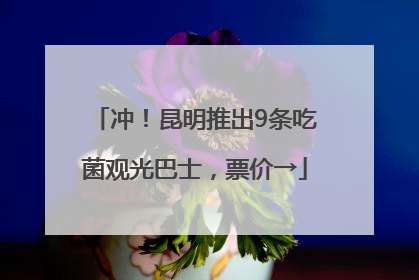 冲！昆明推出9条吃菌观光巴士，票价→
