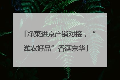 净菜进京产销对接，“潍农好品”香满京华