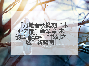 刀笔春秋镌刻“木业之都”新华章 木韵墨香擘画“书刻之城”新蓝图