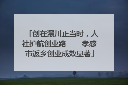 创在澴川正当时，人社护航创业路——孝感市返乡创业成效显著