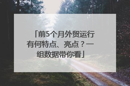 前5个月外贸运行有何特点、亮点？一组数据带你看