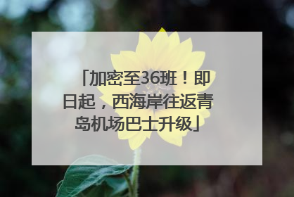加密至36班！即日起，西海岸往返青岛机场巴士升级
