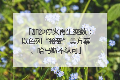 加沙停火再生变数：以色列“接受”美方案、哈马斯不认可