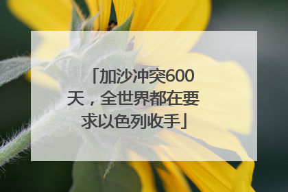 加沙冲突600天，全世界都在要求以色列收手