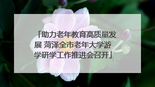 助力老年教育高质量发展 菏泽全市老年大学游学研学工作推进会召开