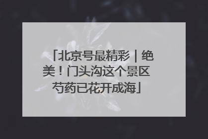 北京号最精彩｜绝美！门头沟这个景区芍药已花开成海